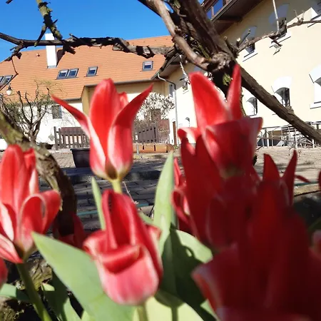 Apartman Na Navsi Apartment *